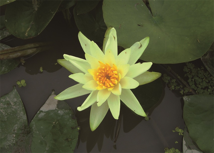 金獎(jiǎng)?wù)?>
<span><i></i></span>
</div>
<p class=